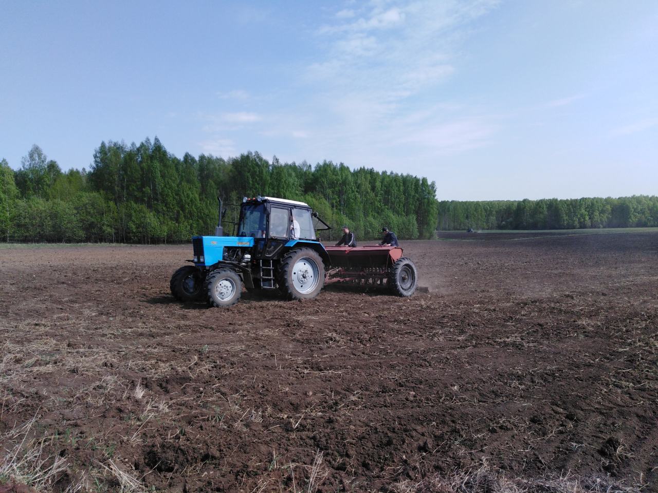 posev