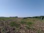 image-25-05-21-12-10-1.jpg
