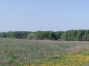 image-25-05-21-12-10.jpg