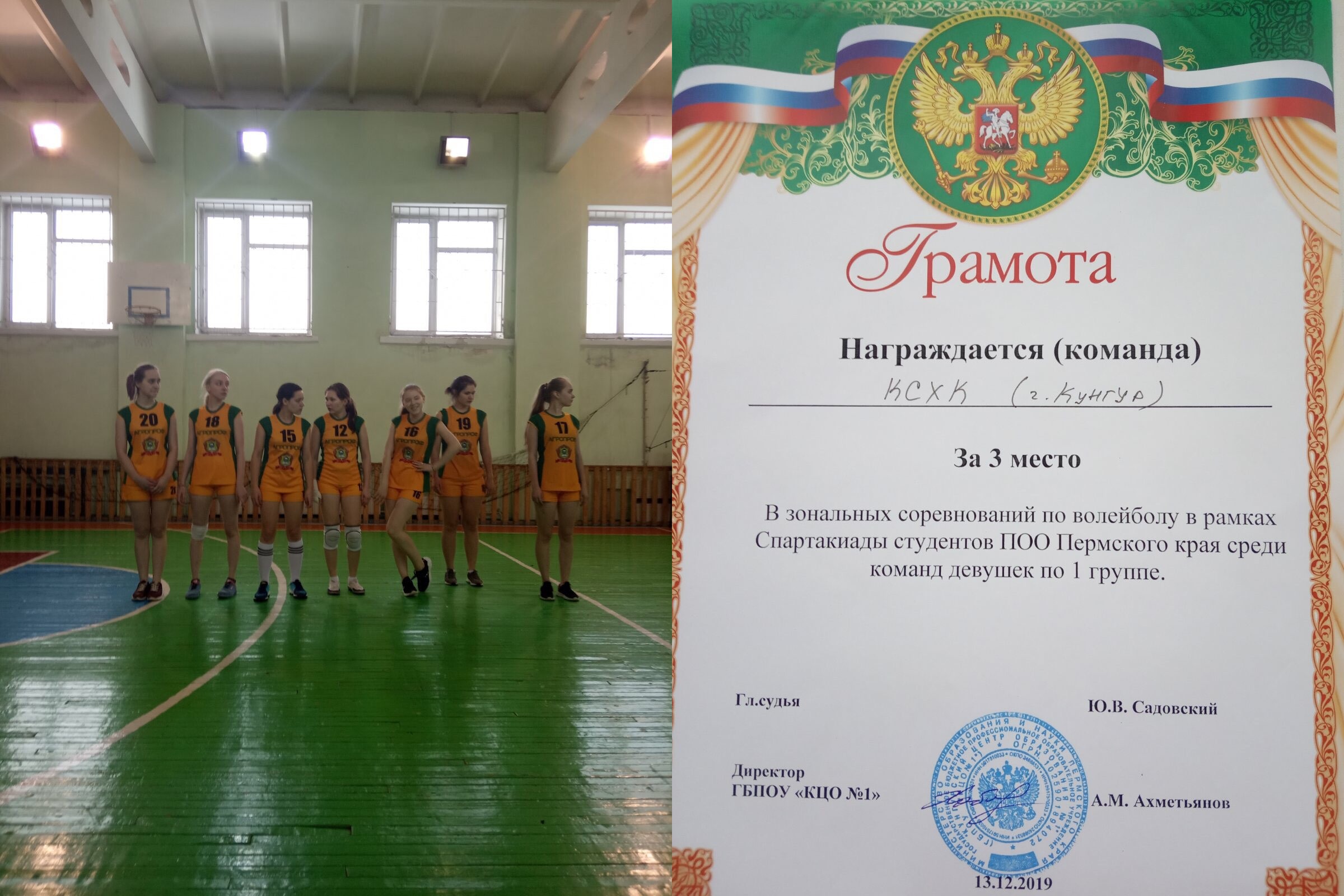voleibol