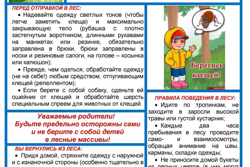 Безопасность в период активности клещей