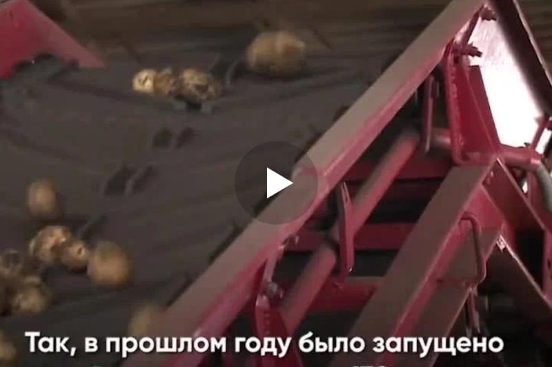  Хорошие новости