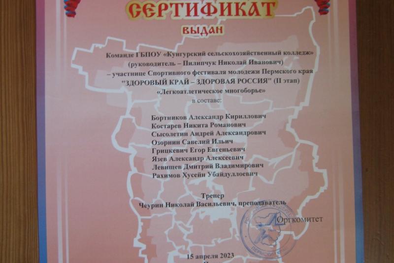 Спортивный фестиваль молодежи Пермского края «Здоровый край – здоровая Россия»