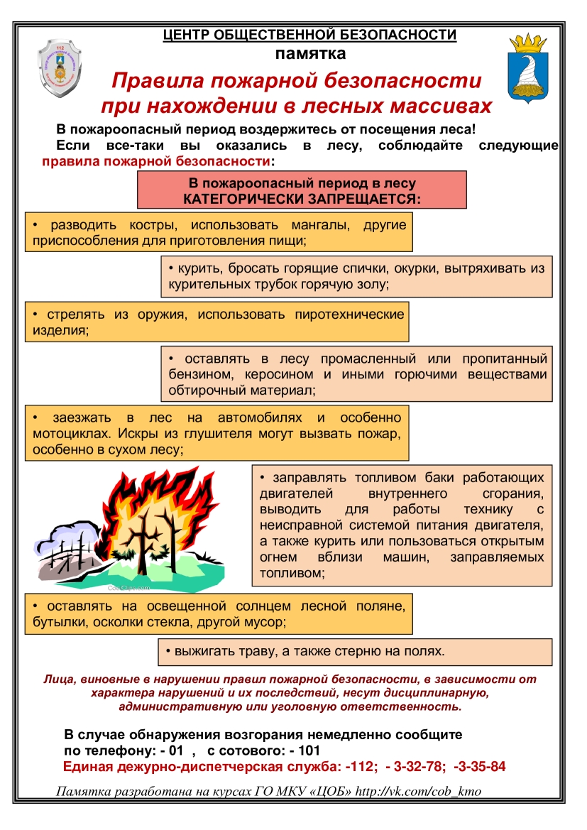 03.jpg