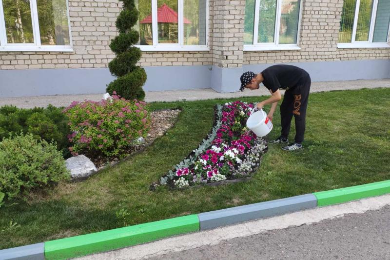Трудовое лето