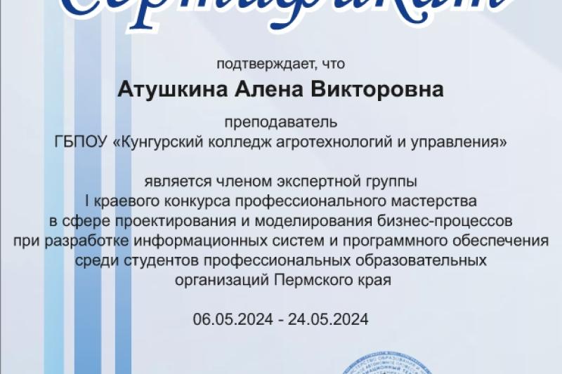 I краевой конкурс профессионального мастерства в сфере проектирования и моделирования бизнес-процессов при разработке информационных систем и программного обеспечения среди студентов профессиональных образовательных организаций Пермского края