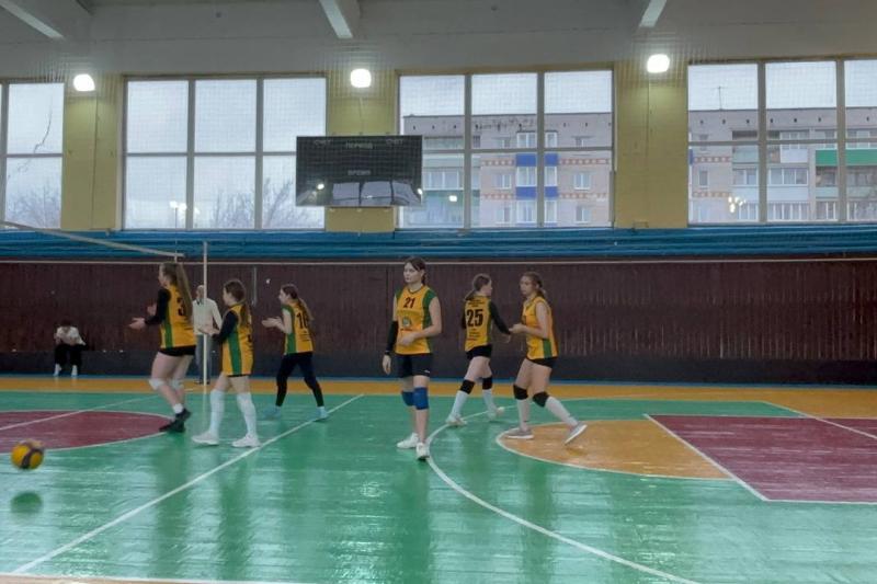 Турнир по волейболу среди женских команд КМО