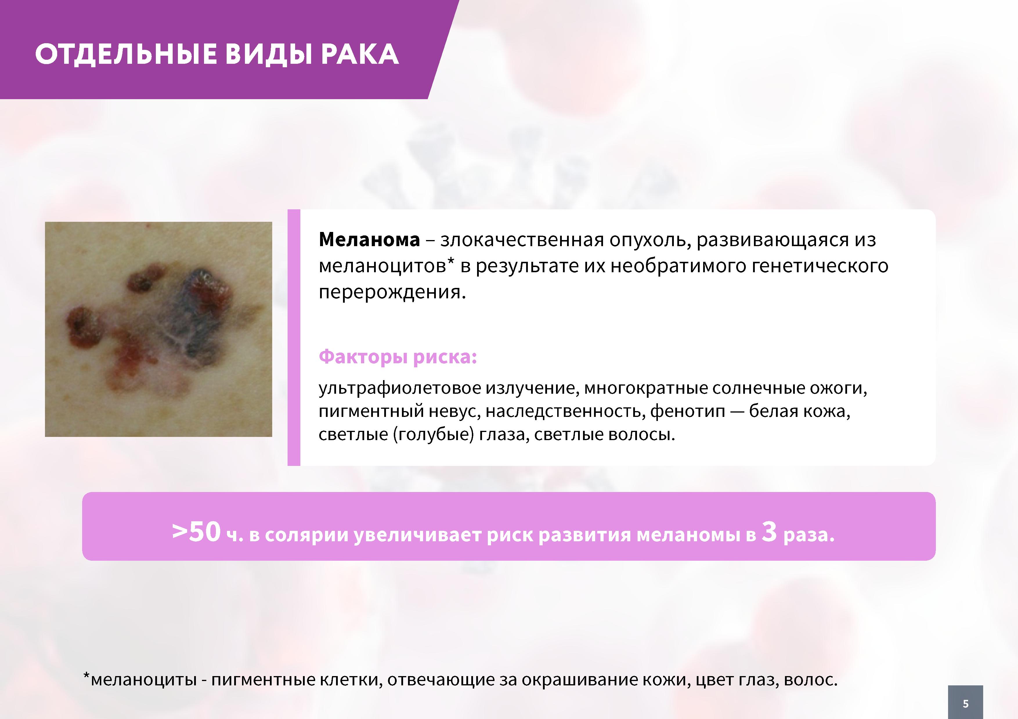 05.jpg