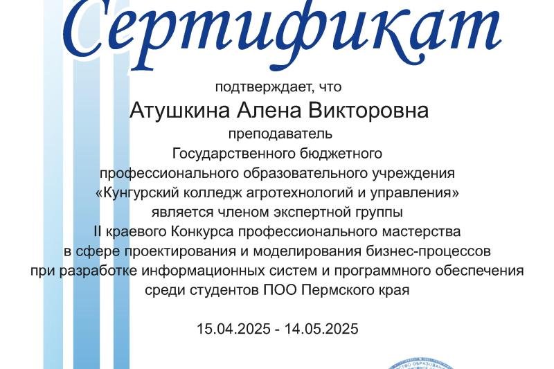 II краевой конкурс профессионального мастерства в сфере проектирования и моделирования бизнес-процессов при разработке информационных систем и программного обеспечения среди студентов профессиональных образовательных организаций Пермского края