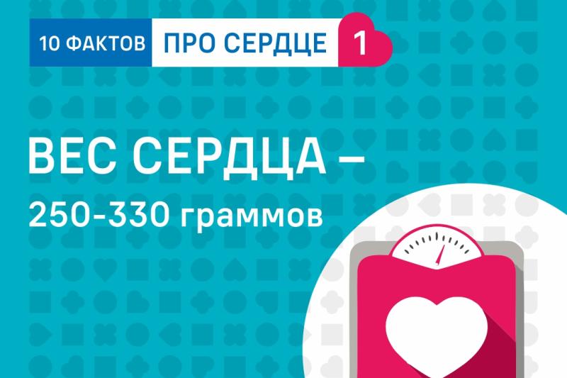 Неделя ответственного отношения к сердцу (в честь Всемирного дня сердца 29 сентября)