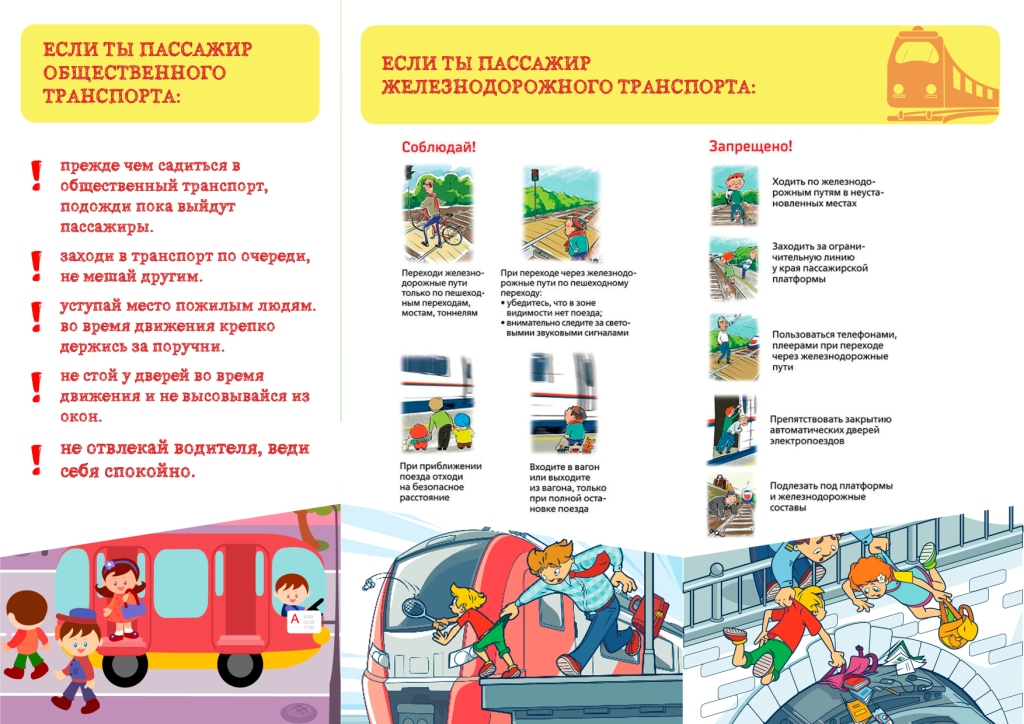bez_na_transporte2.jpg