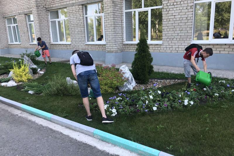 Трудовое лето в разгаре