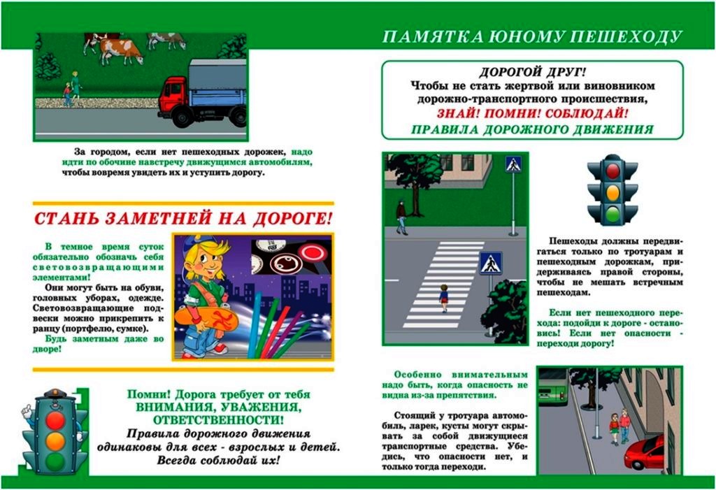 pmayatka_yunomu_peshehodu.jpg