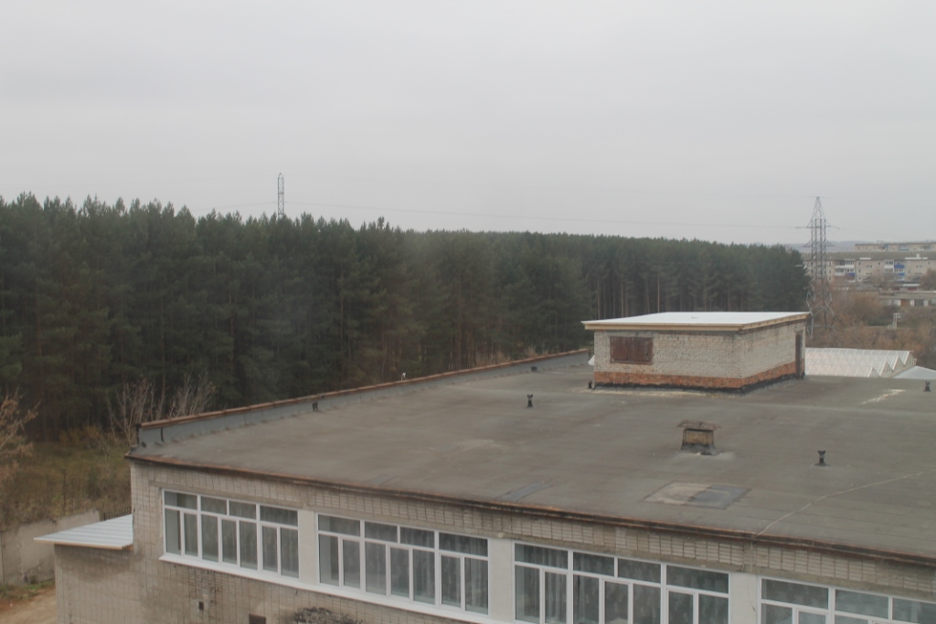 IMG-1.JPG