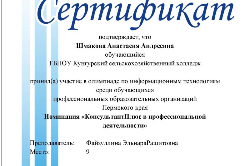 Краевая олимпиада по информационным технологиям. Номинация «КонсультантПлюс в профессиональной деятельности»