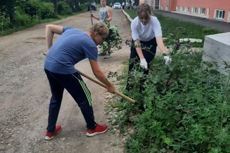 Трудовое лето продолжается