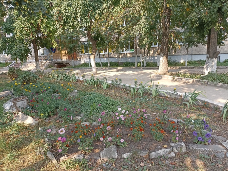 IMG_20220826_164156.jpg